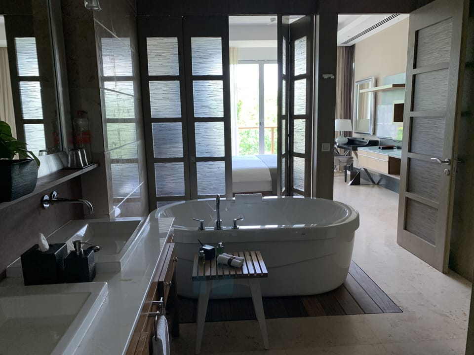 Master Bedroom -Bathroom/Shower/Jacuzzi Tub