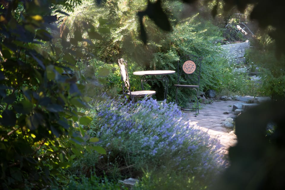 Enjoy a beverage amongst the plant paradise