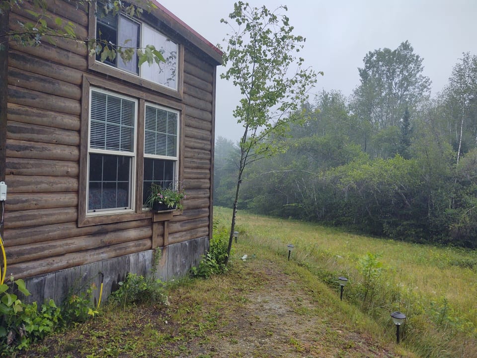 Walkway to cabin