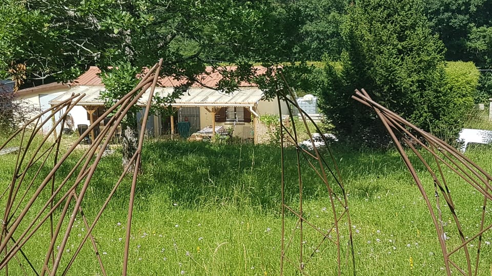 Image 12