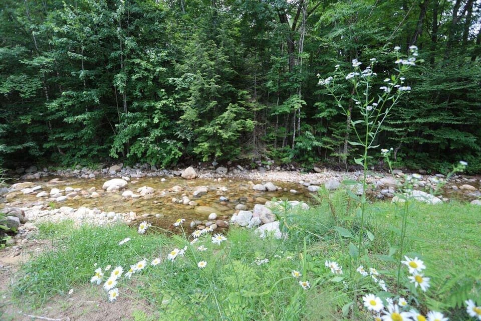 Private Back Yard with Brook Frontage in Waterville Valley