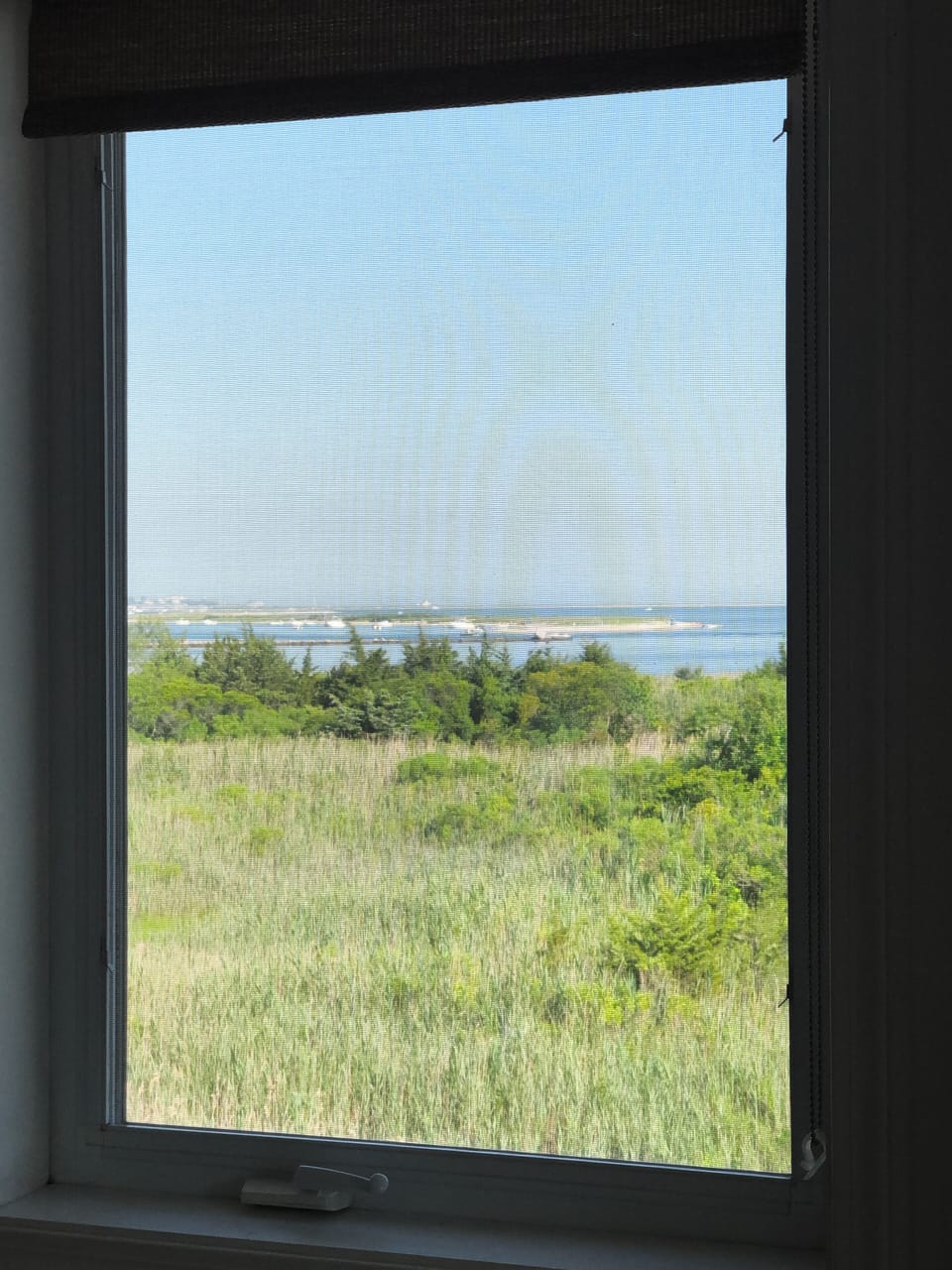 View From Guest B.R