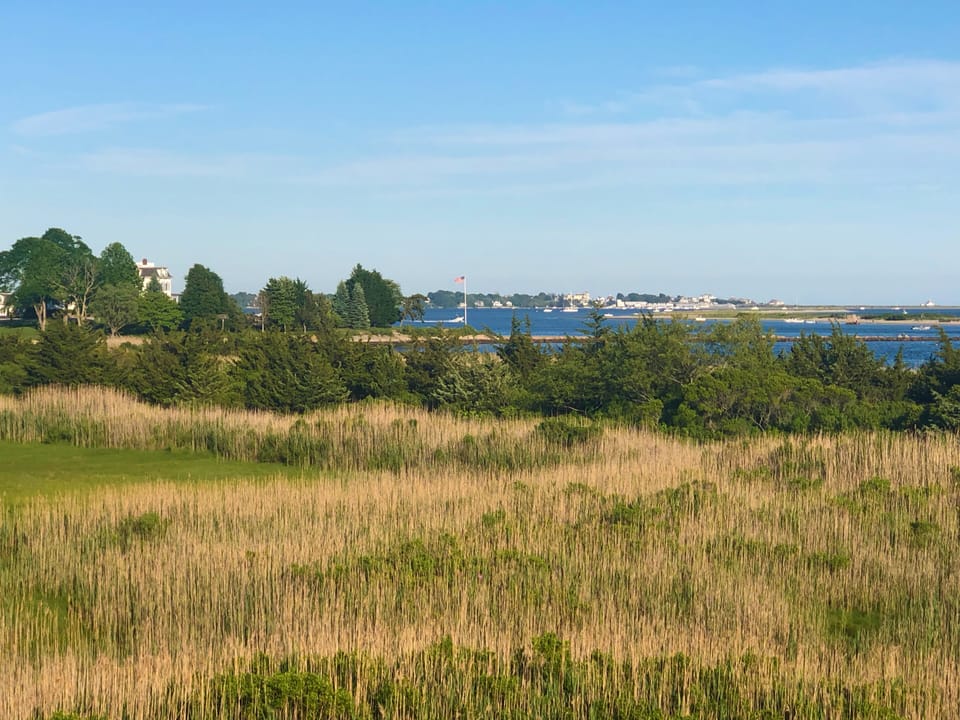 Salt Marsh View
