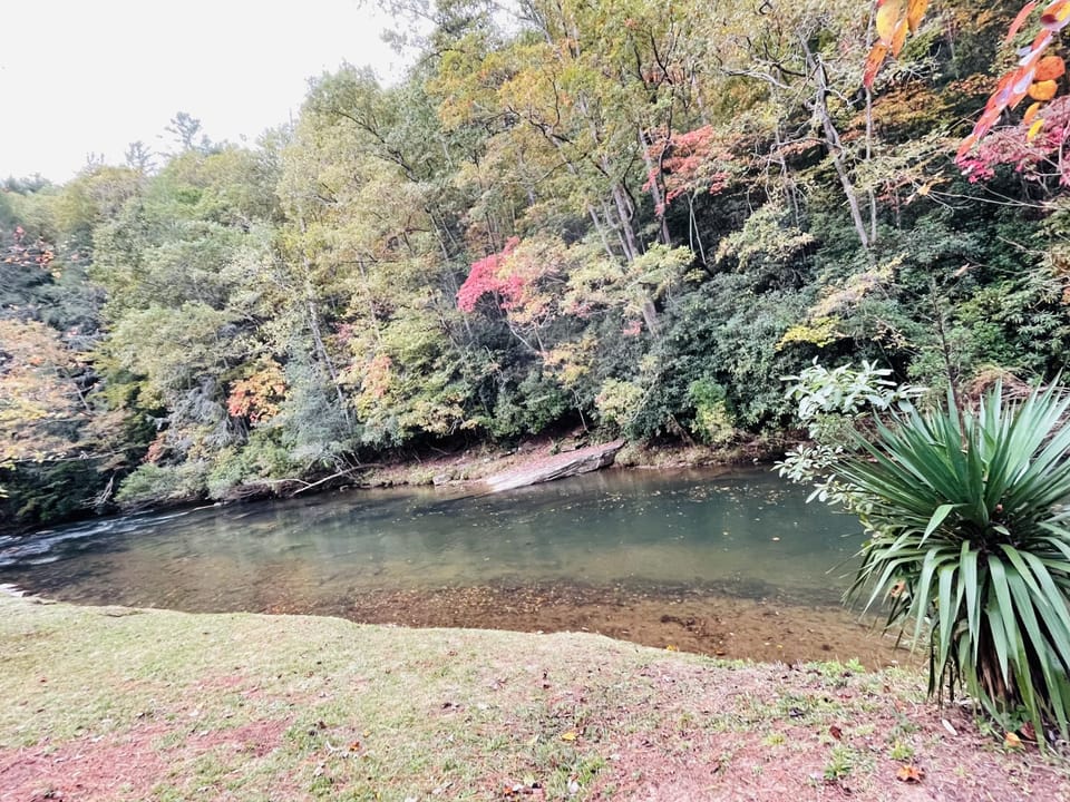 Beautiful Fall day in the mountains — colorful leaves floating in the water 