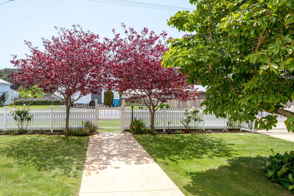 View from front porch