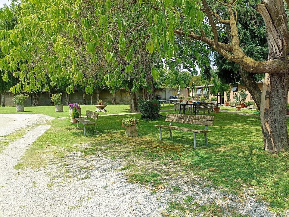 park / garden