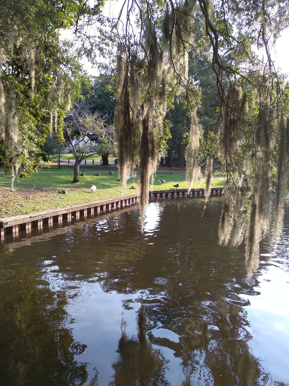 parks and historic downtown are nearby but no sidewalks