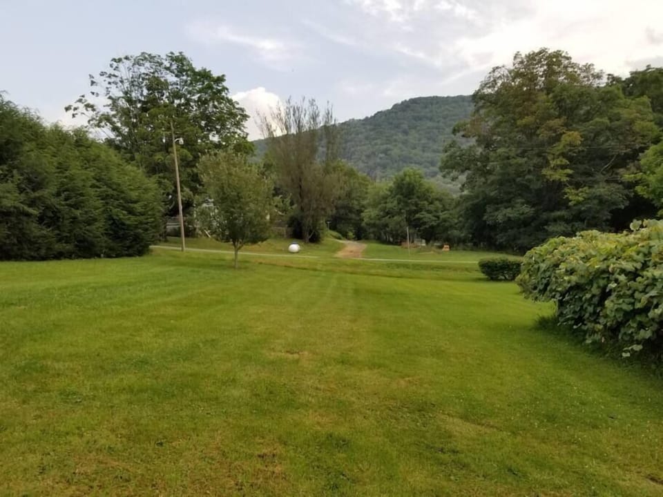 Side yard looking towards street