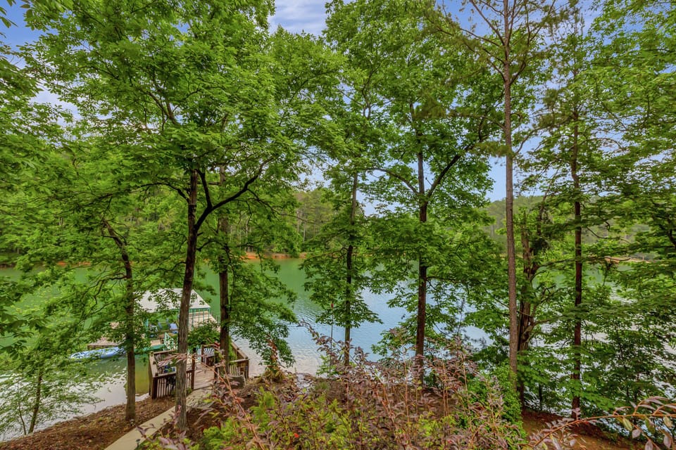 View from the back deck.