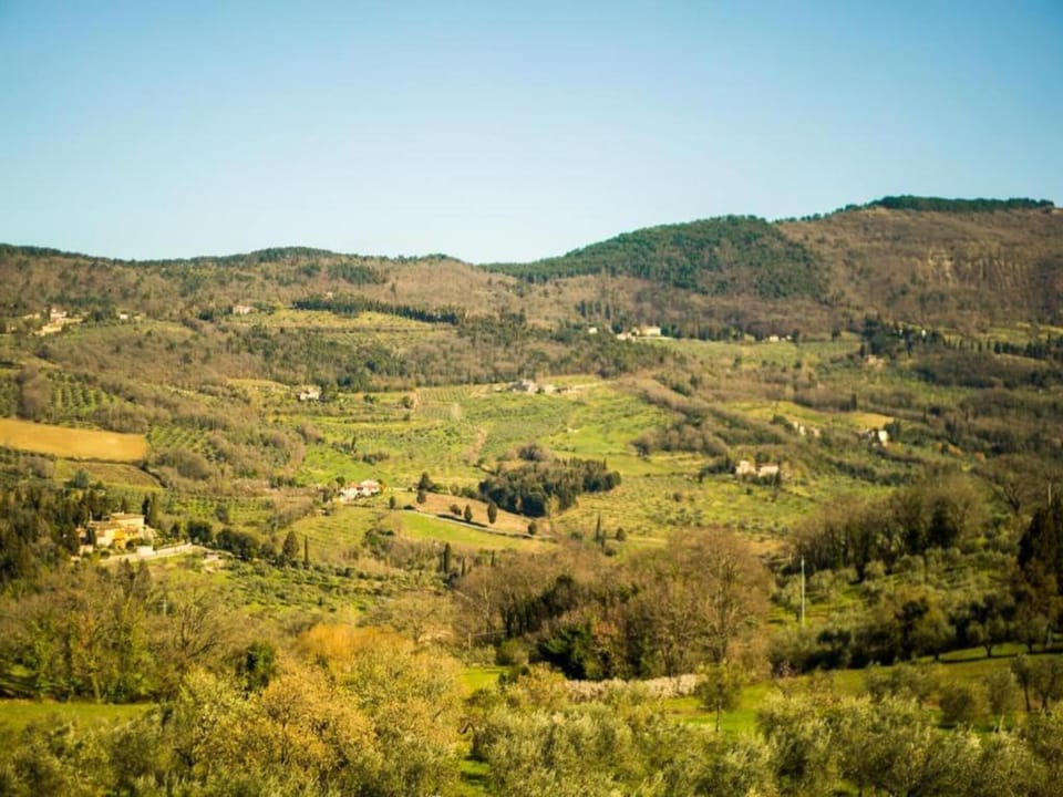 Region [summer] (>5 km)