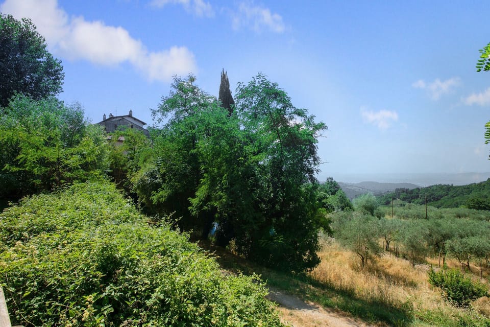 Immediate Surroundings [summer] (<1 km)