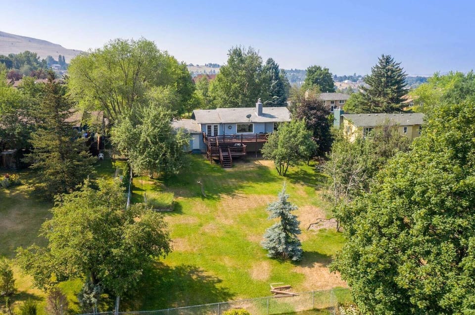 exterior - back yard