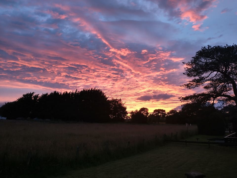 Evening sunsets over the meadow can be beautiful.