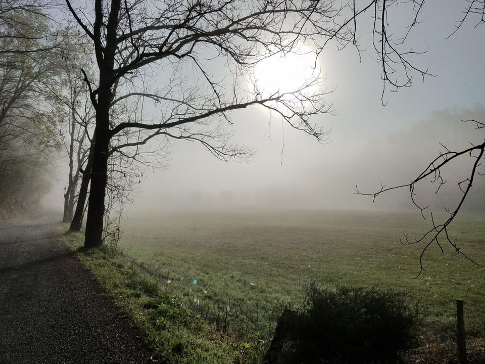 Beautiful scene on Caney Fork Road with sun coming up!