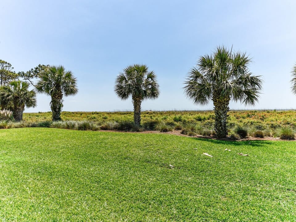 Ocean Views from 101 Shorewood