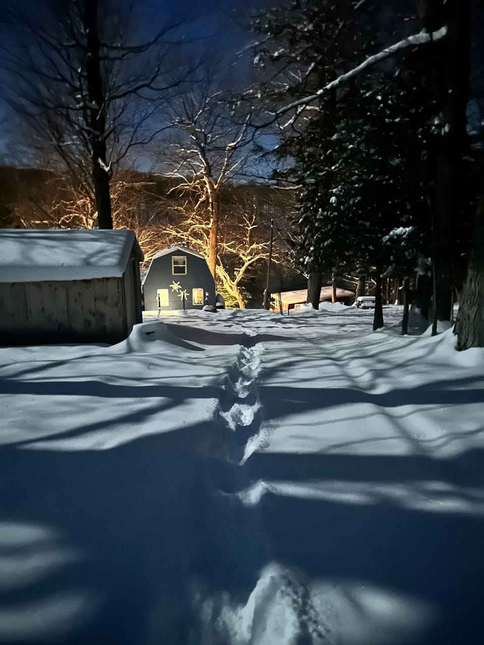 View from driveway during winter