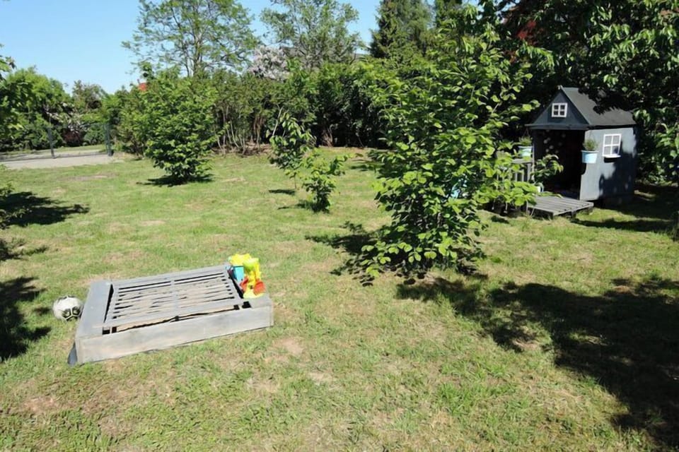 Garden [summer]