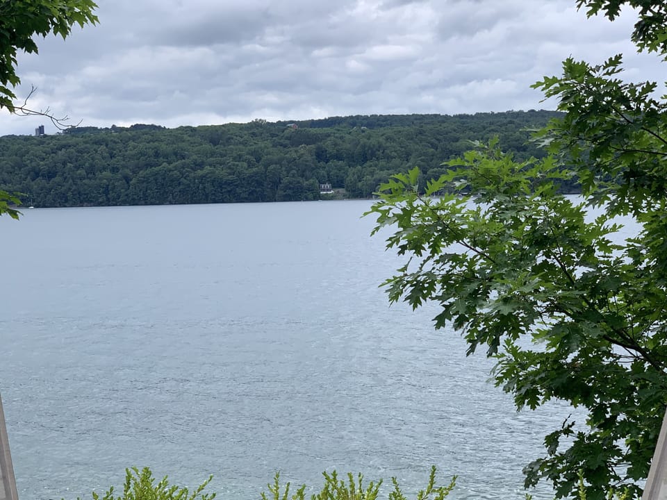 View from property