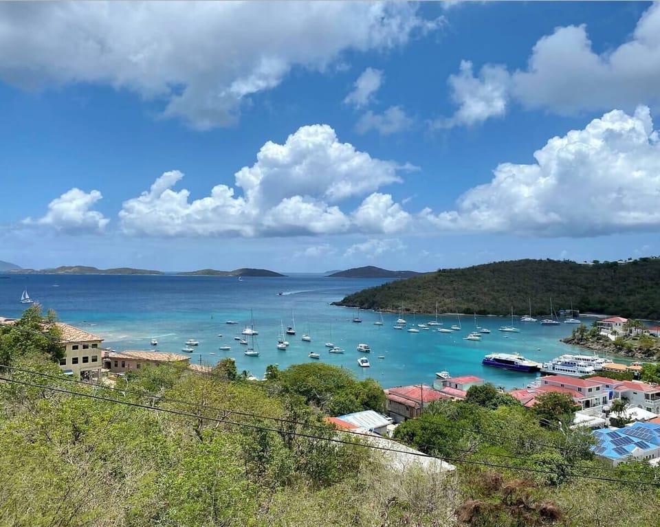 Views from the shared garden patio (not the view from this unit)