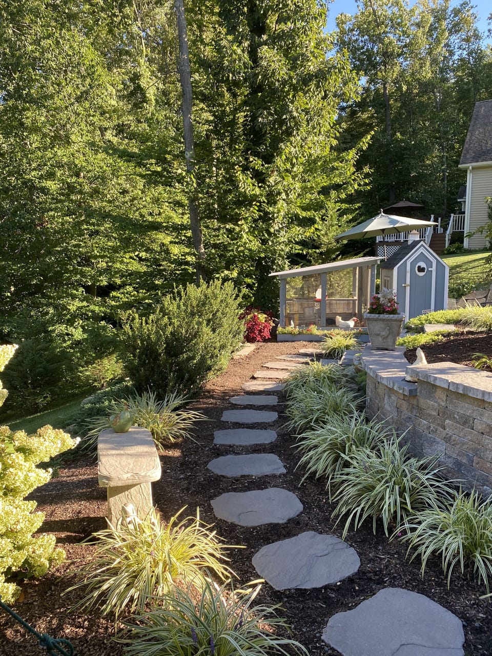 Backyard gardens.  