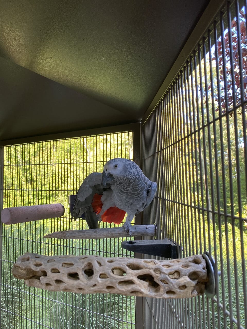 Local residents - say “hi”
