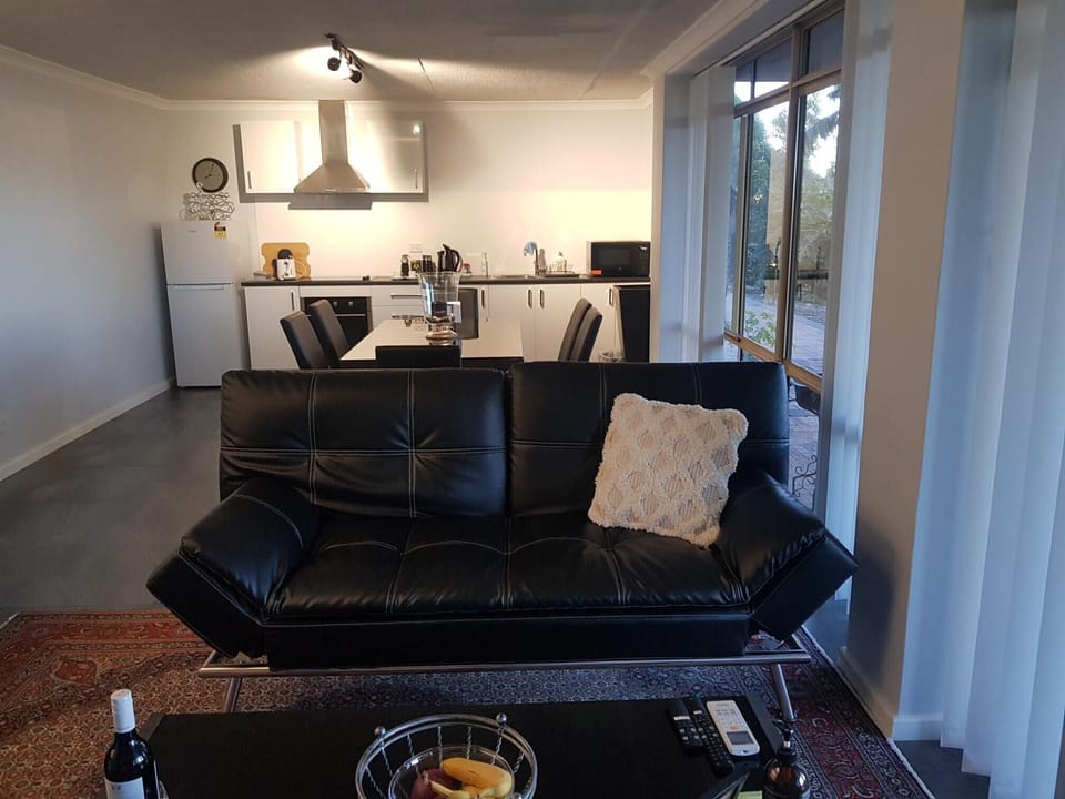 Second couch that folds to a double bed