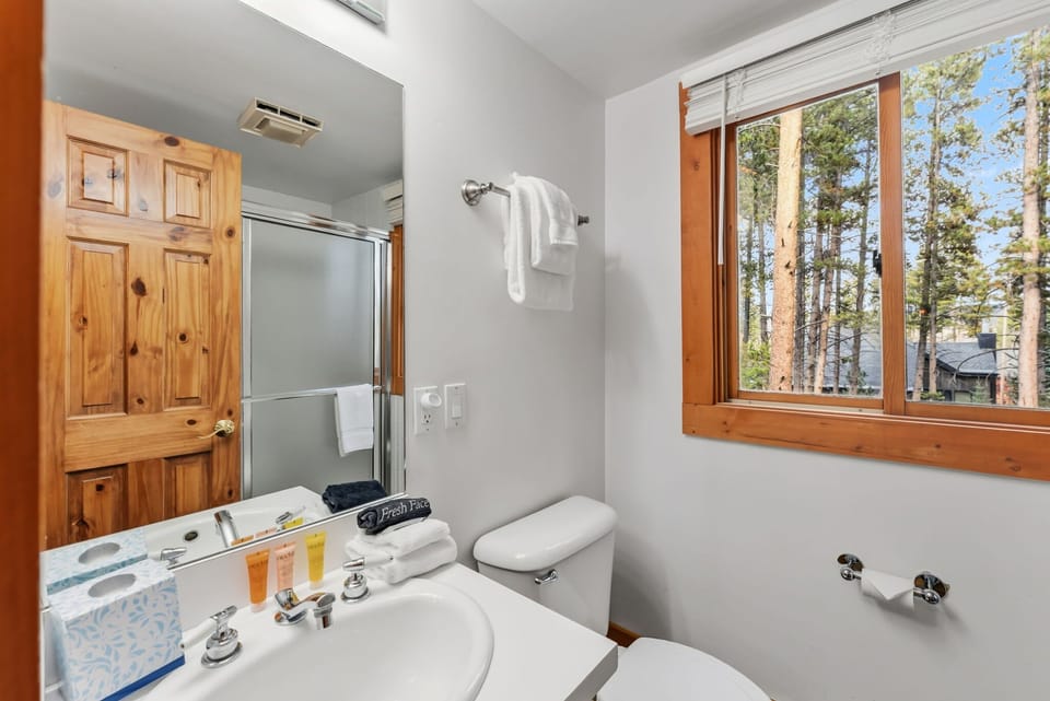 Bathroom 2: Single-sink vanity, standing shower
