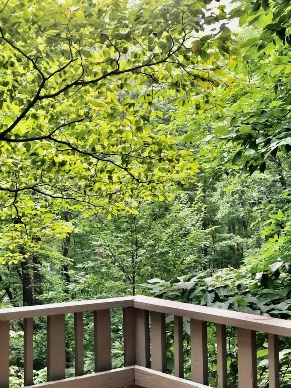 Open Porch Main Level