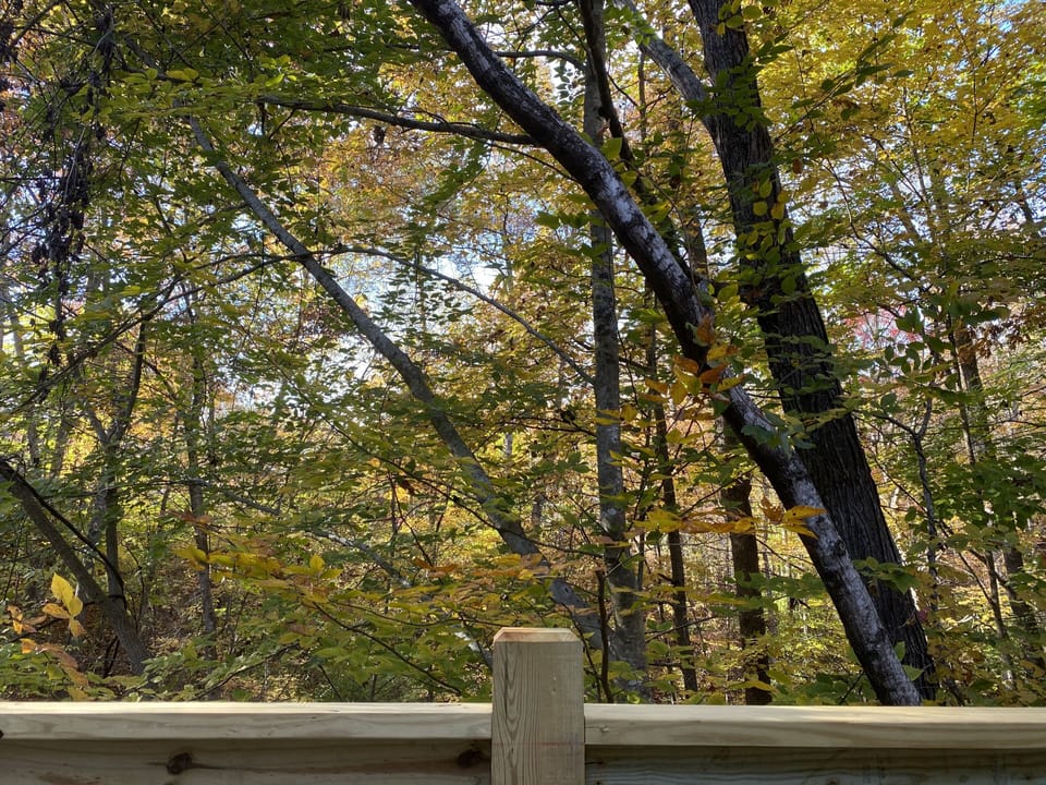Enjoy the beauty of fall while gathered on the large extended deck.