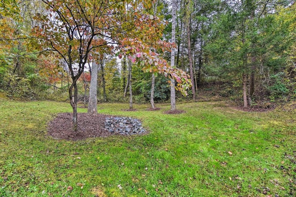 You’ll be surrounded by beautiful forest.