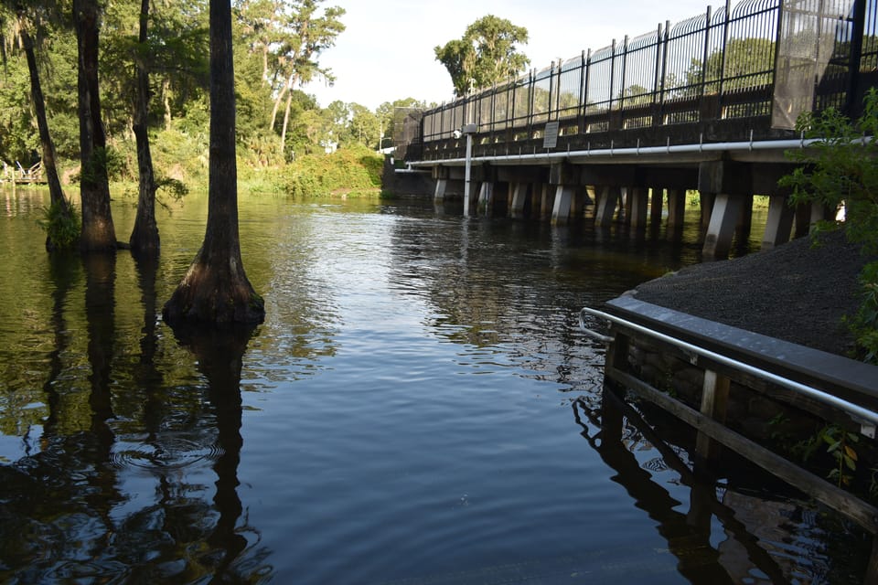 Blue Run of Dunnellon Park, 0.5 miles from the home