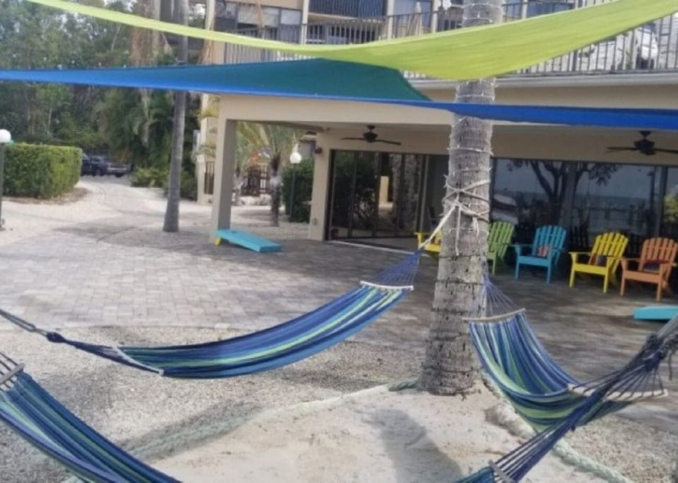 Hammocks and cornhole area