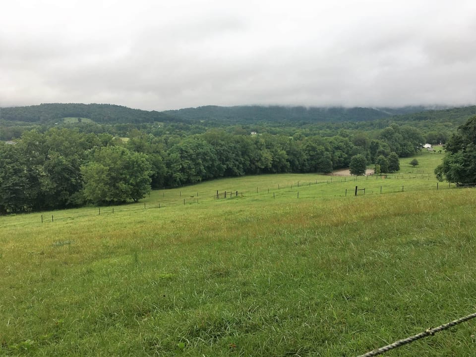 View from rear of property looking forward