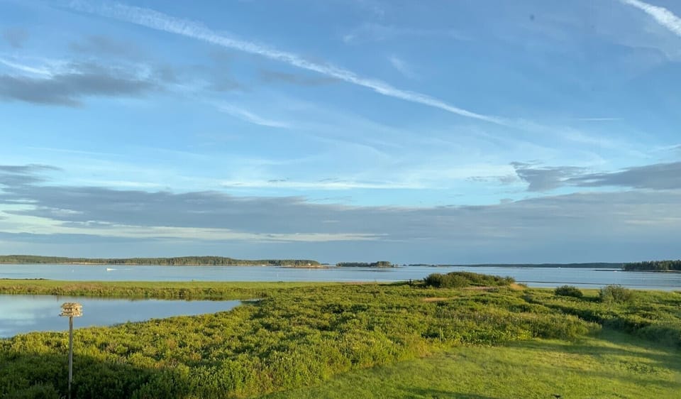View from sunroom...