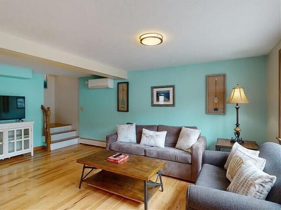 Comfortable seating | TV | Sleeper sofa couch
