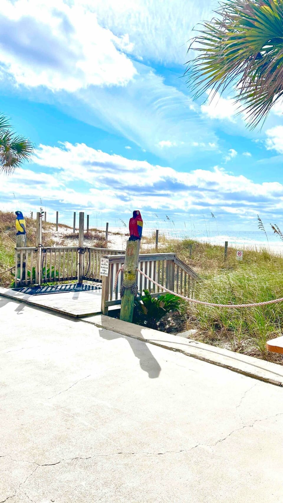 Beachfront - Ambassador Condos