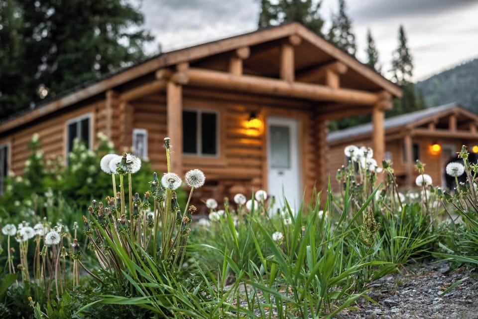 Arrive to a peaceful cabin escape surrounded by mountain air.
