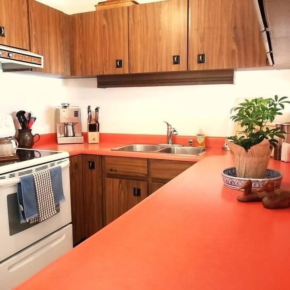Retro fully equipped kitchen
