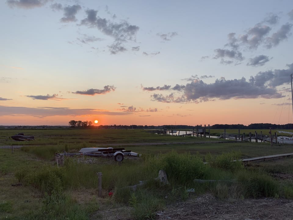 Marsh views 