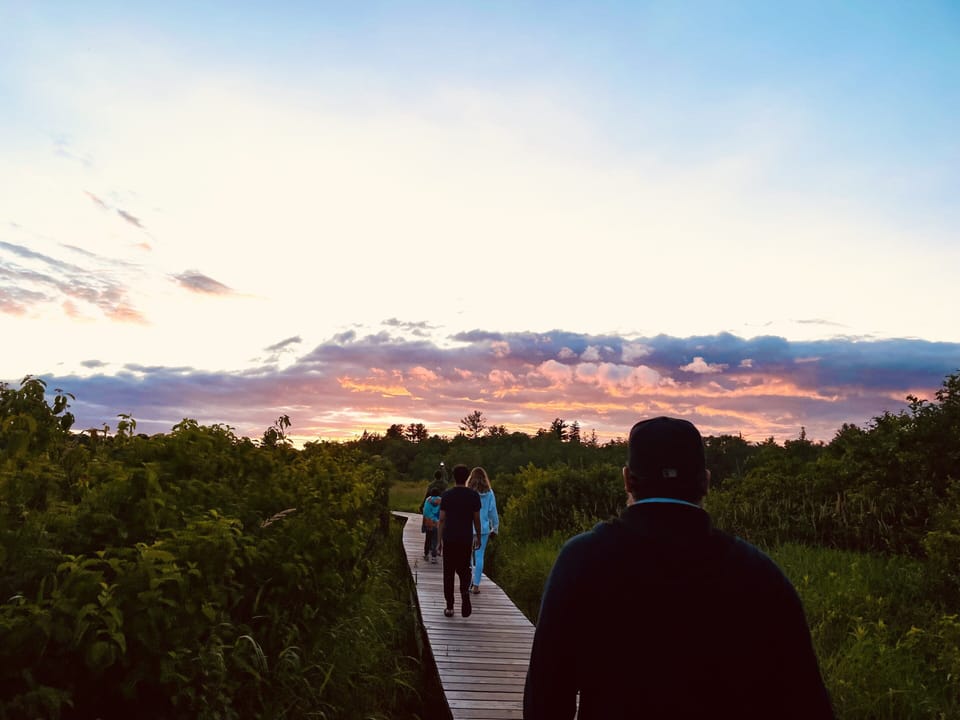 Little pond boardwalk at White Memorial walking distance