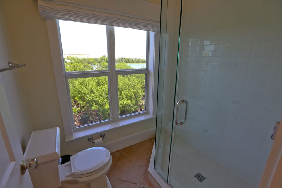 A room with a view!