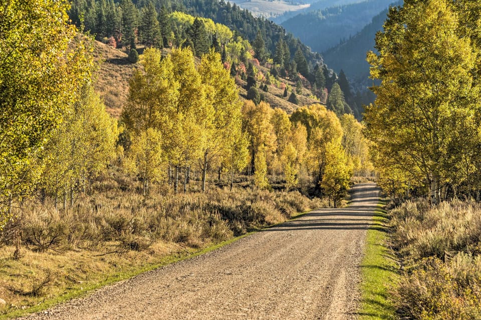 Road to Access Cabin