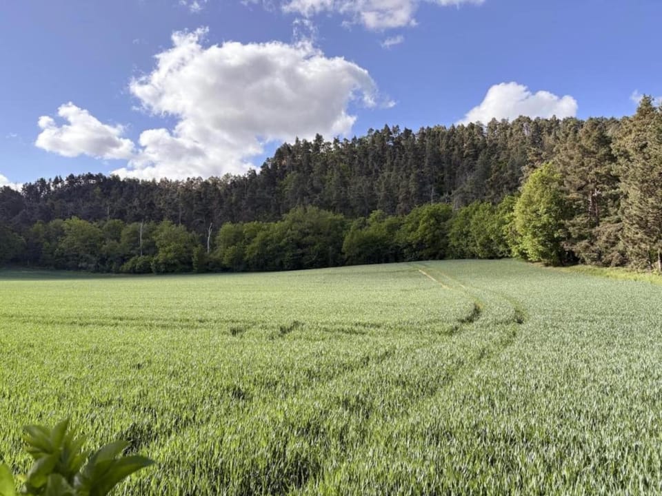Surroundings [summer] (1-5 km)