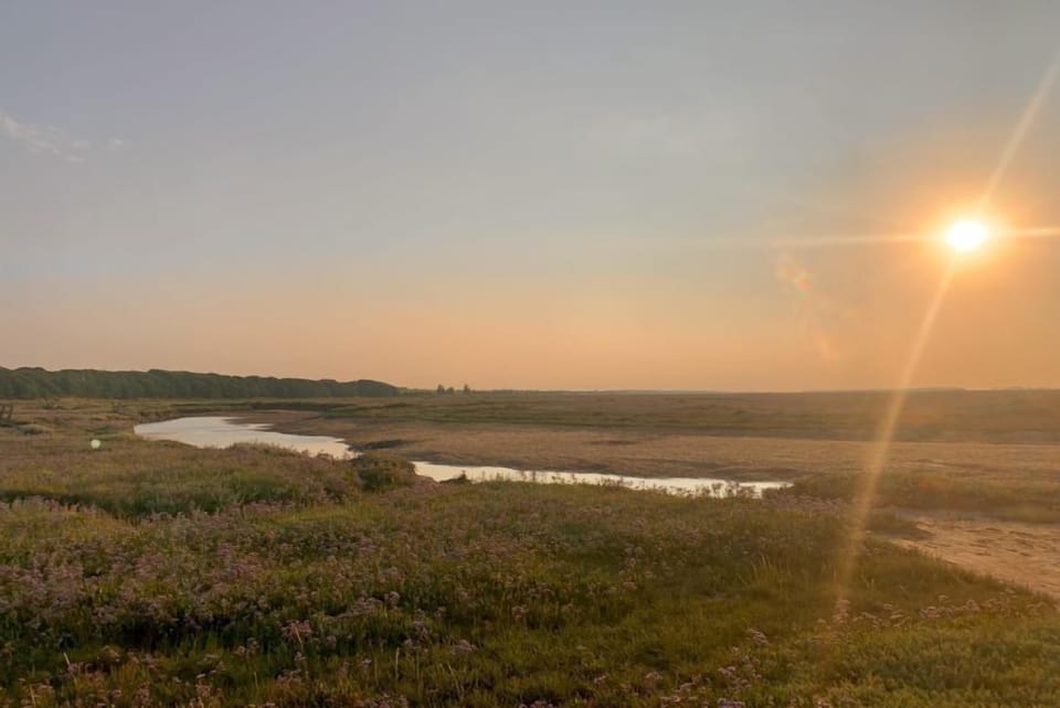The saltmarshes in Norfolk