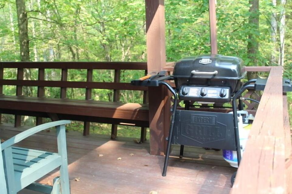 Gas Grill
