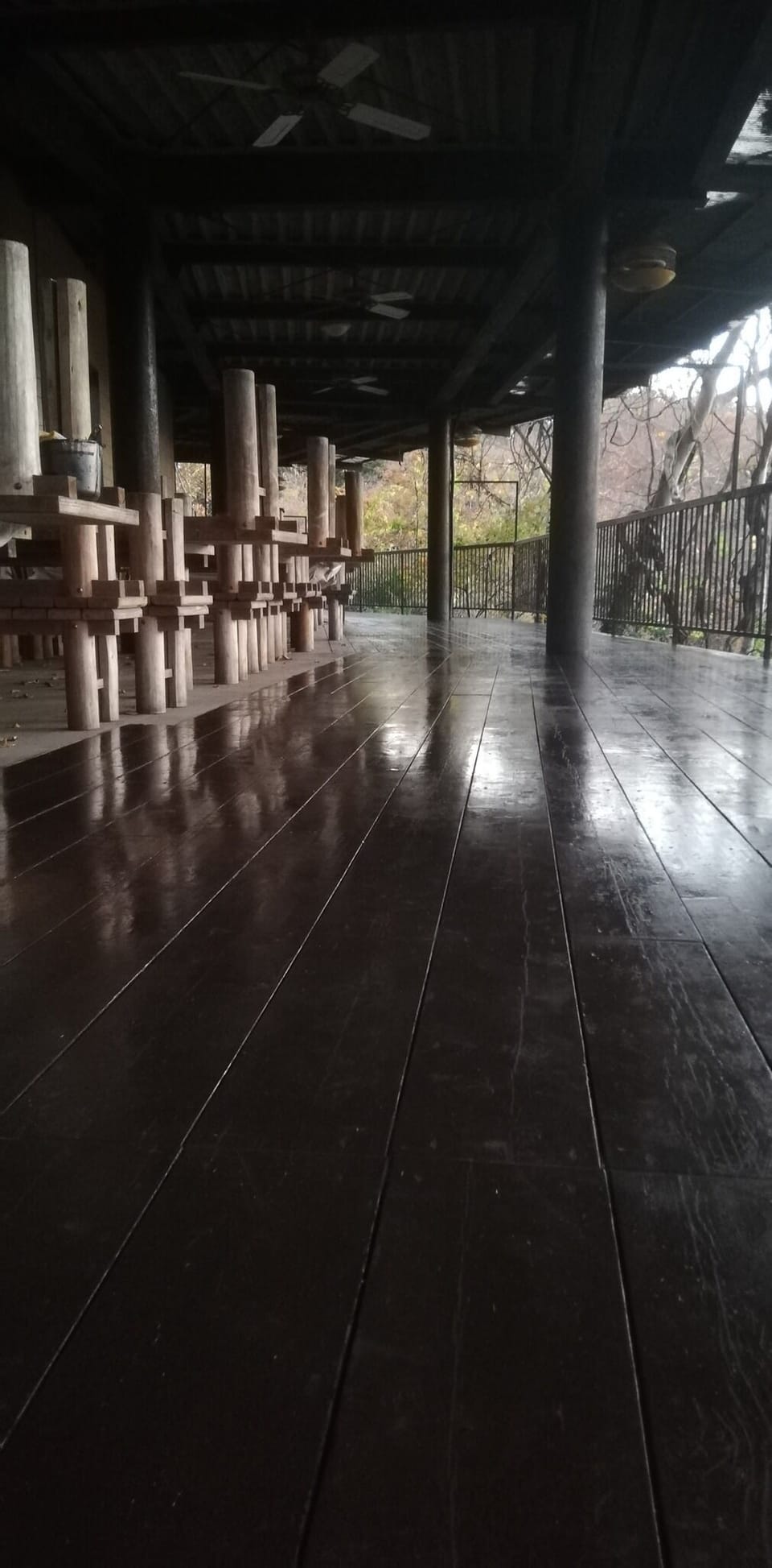 terrace