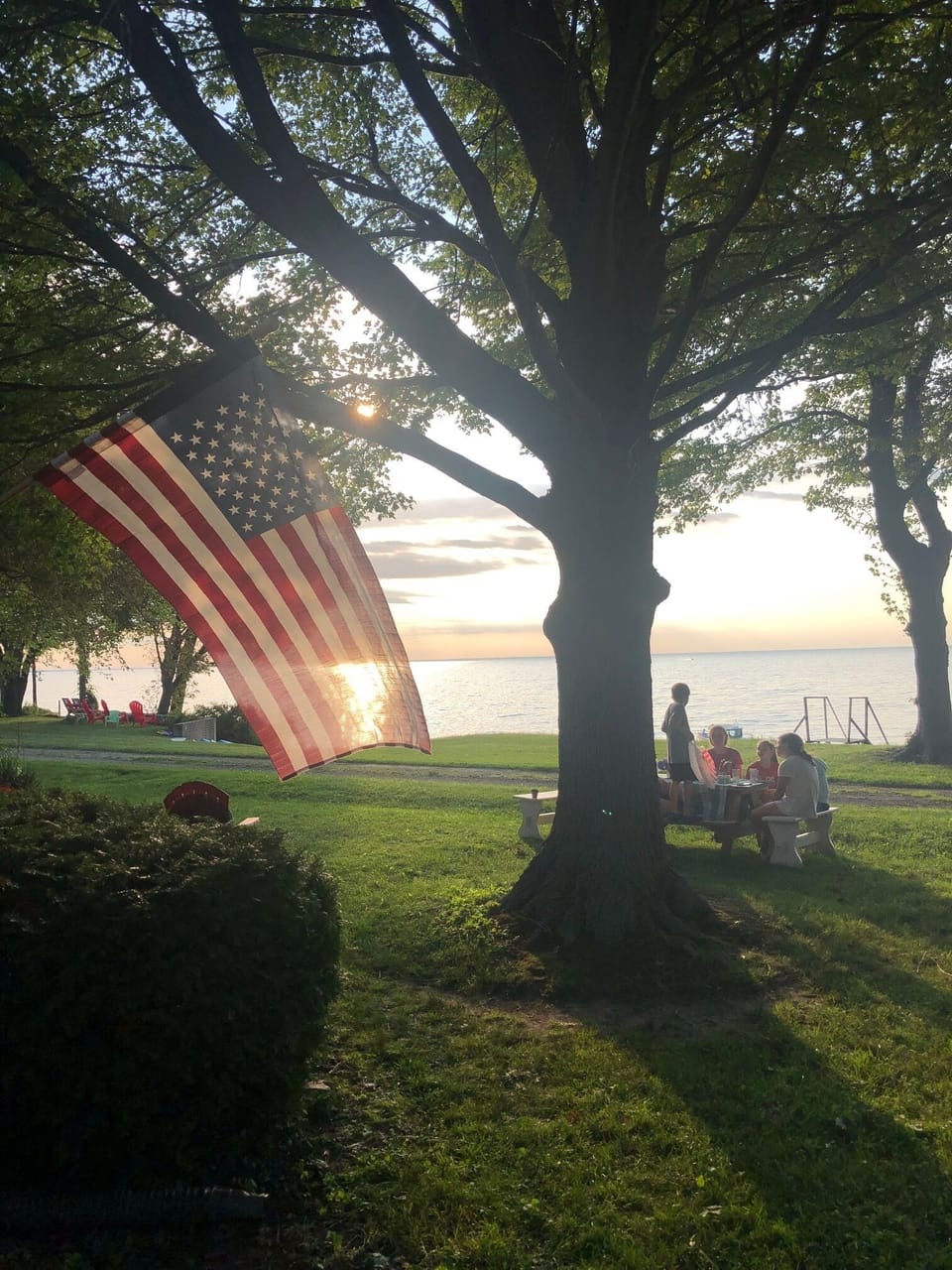 Front yard