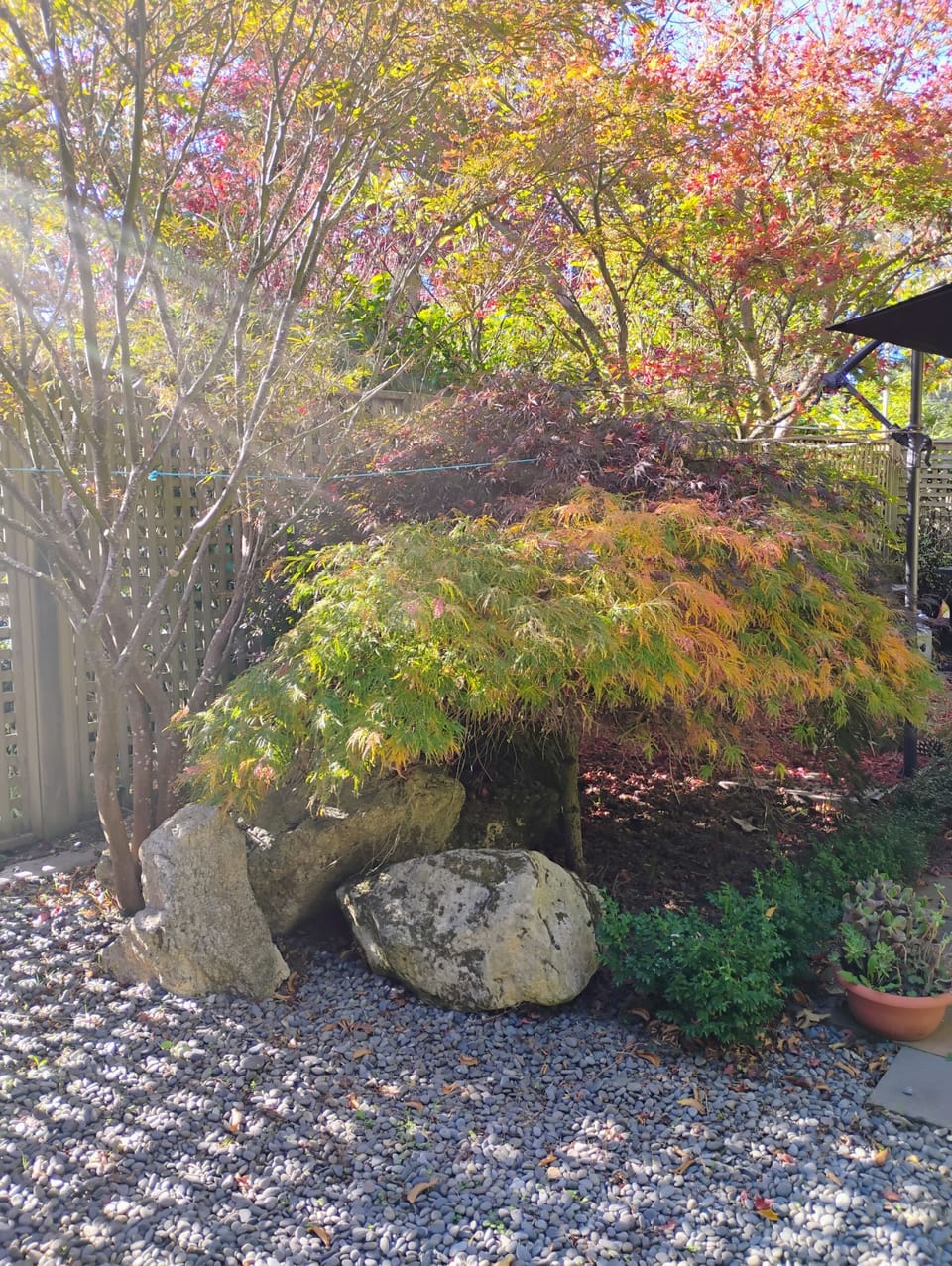 BBQ area