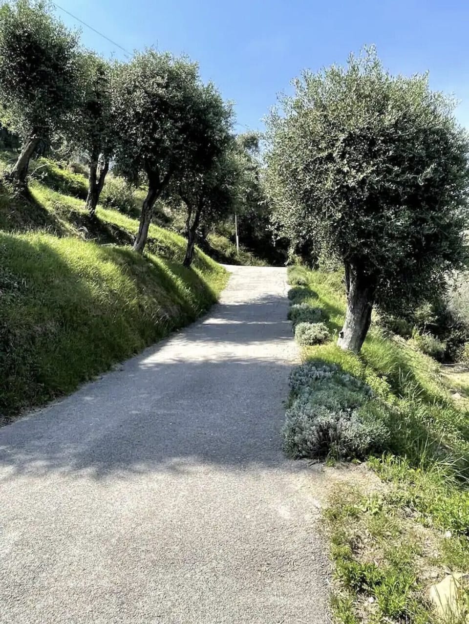 Private Mountain Driveway