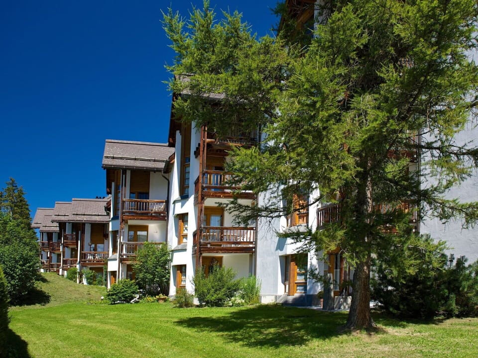 Plant, Building, Sky, Tree, Land Lot, House, Urban Design, Window, Residential Area, Cottage
